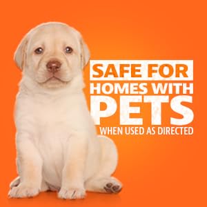 Angry Orange Safe For Homes With Pets