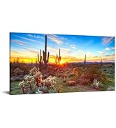 sechars Arizona Sonoran Desert Wall Art Botanical Cactus in Sunset Landscape Pictures Painting Ca...