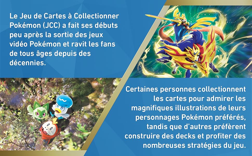 pokémon coffret collector automne 2023 black friday