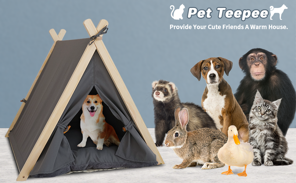 Amazon.com : zycBernoi Pet Teepee Tent for Small Dogs & Cats