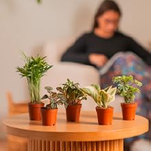 Small manufacture image 4