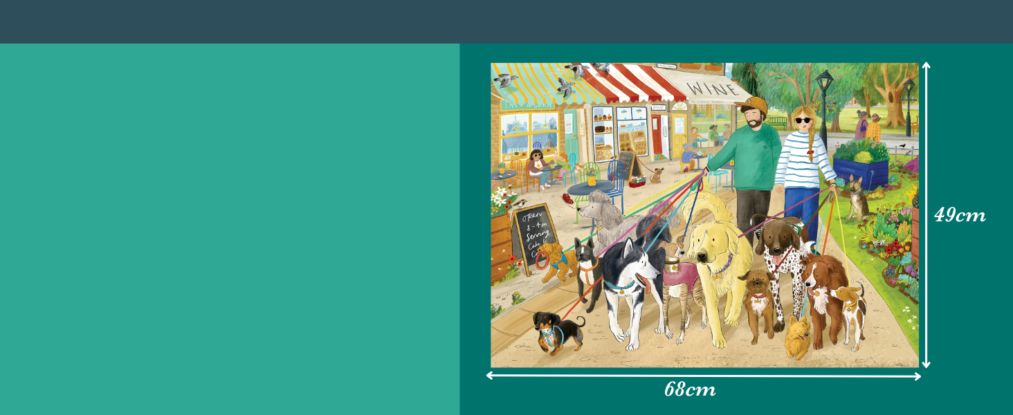 Falcon Walkies Puzzle Dimensions