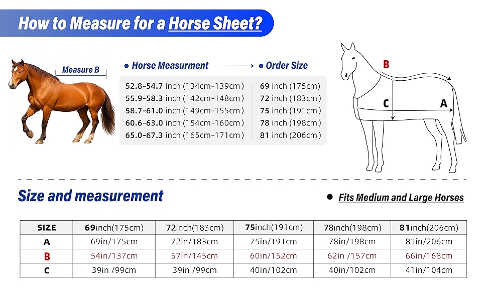 horse sheet
