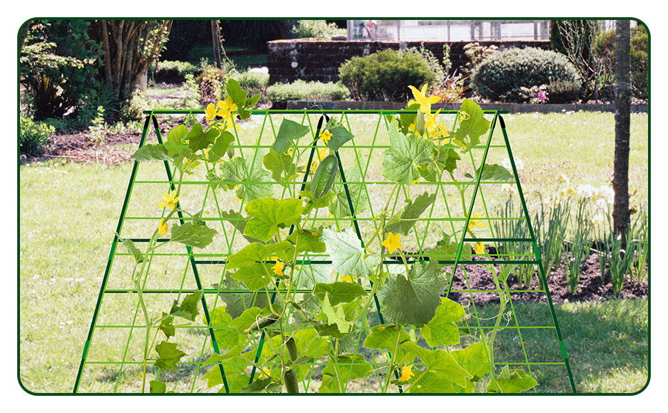 UCandy 84 PCS 47" Garden Trellis for Climbing Plants