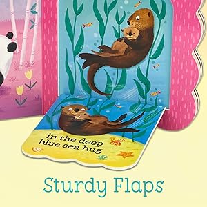 hugs learning educational books for newborns babies love chunky lift-a-flap childrens board book
