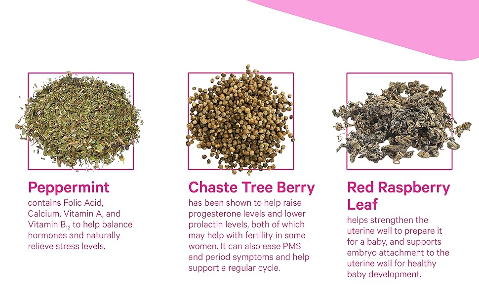 chaste tree berry vitex red raspberry leaf peppermint herbal tea