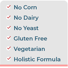 FertilAid for Women, Fertility Supplement for Women and Natural Fertility Vitamin with Vitex