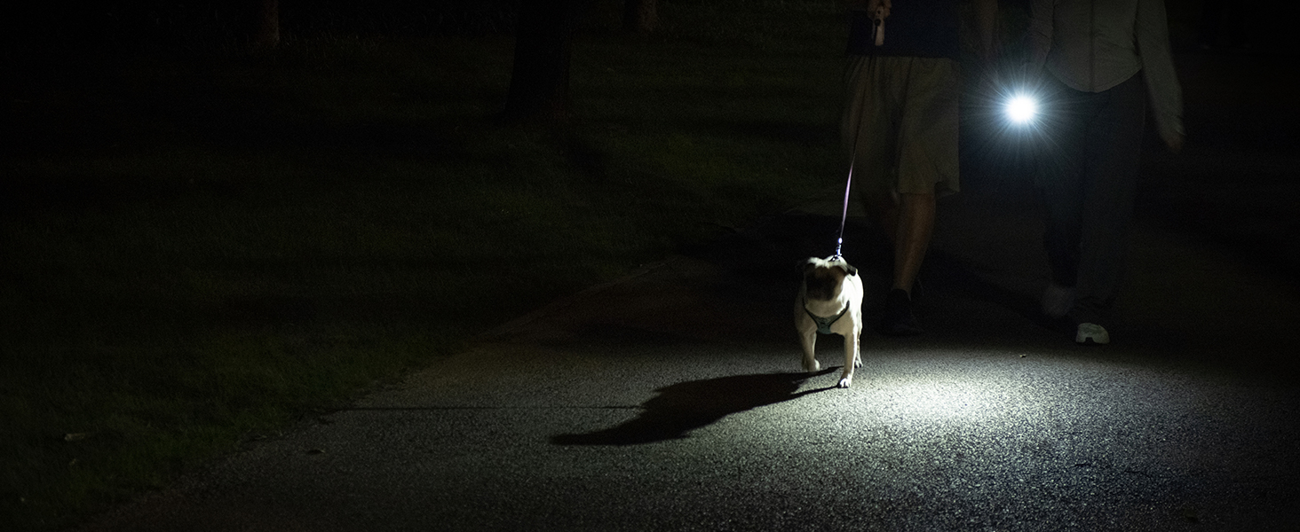 helper for dog walking at night
