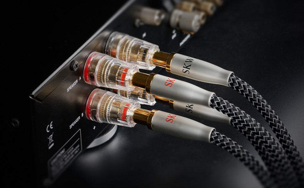 Amazon.com: SKW High End WG Series A Pair Speaker Cable with
