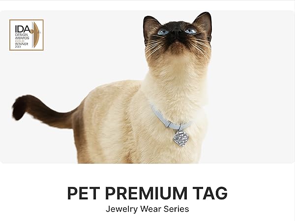 Amazon.com : BuddyArmor Engraved Cat Collar with Name Tag