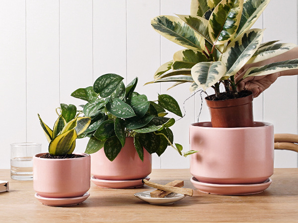 フラワー・ガーデニング P-CHAMBER.SRLMEX-S P-P POT neighborhood Better Homes & Gardens Pink Ceramic Bubble Planter 6.53 inch