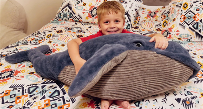 whale plush toy