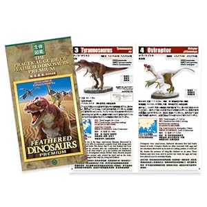 (未使用･未開封品)　カロラータ 羽毛恐竜 フィギュア (立体図鑑) 恐竜 リアル フィギュアボックス [解説書/スタンド付き] 食品衛生法クリア 7種 0pbj0lf Amazon.co.jp: カロラータ 羽毛恐竜 フィギュア 立体図鑑 (恐竜