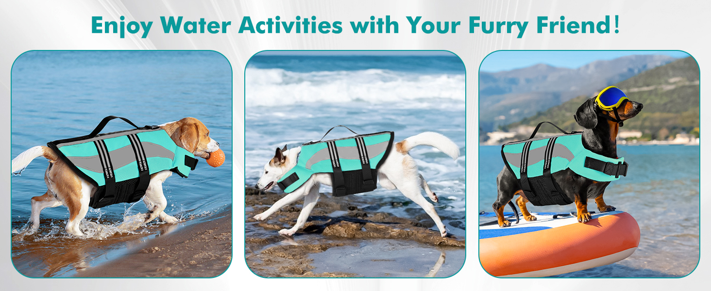 dog life vest for swimming