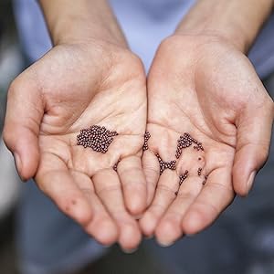 Basilikumsamen Bohnenkrautsamen Dillsamen Kressesamen Koriandersamen Liebstöckelsamen