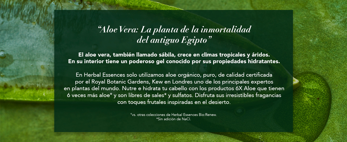 Herbal Essences, shampoo, shampoo de aloe, shampoo para hidratar, aloe vera, shampoo herbal, mango