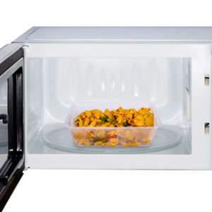 disposable lunch box
