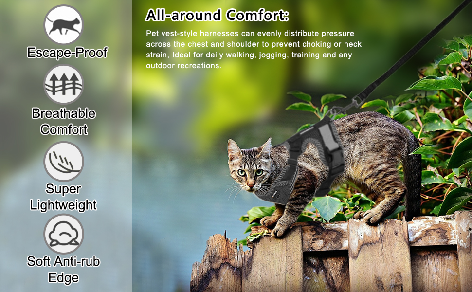 Cat Harness and Lead, Adjustable Kitten Harness with Reflective Strips, Cat Collar Set, Escape Proof Breathable Cat Vest Harness for Cats Dogs Pets Walking (S) 11 cat harness