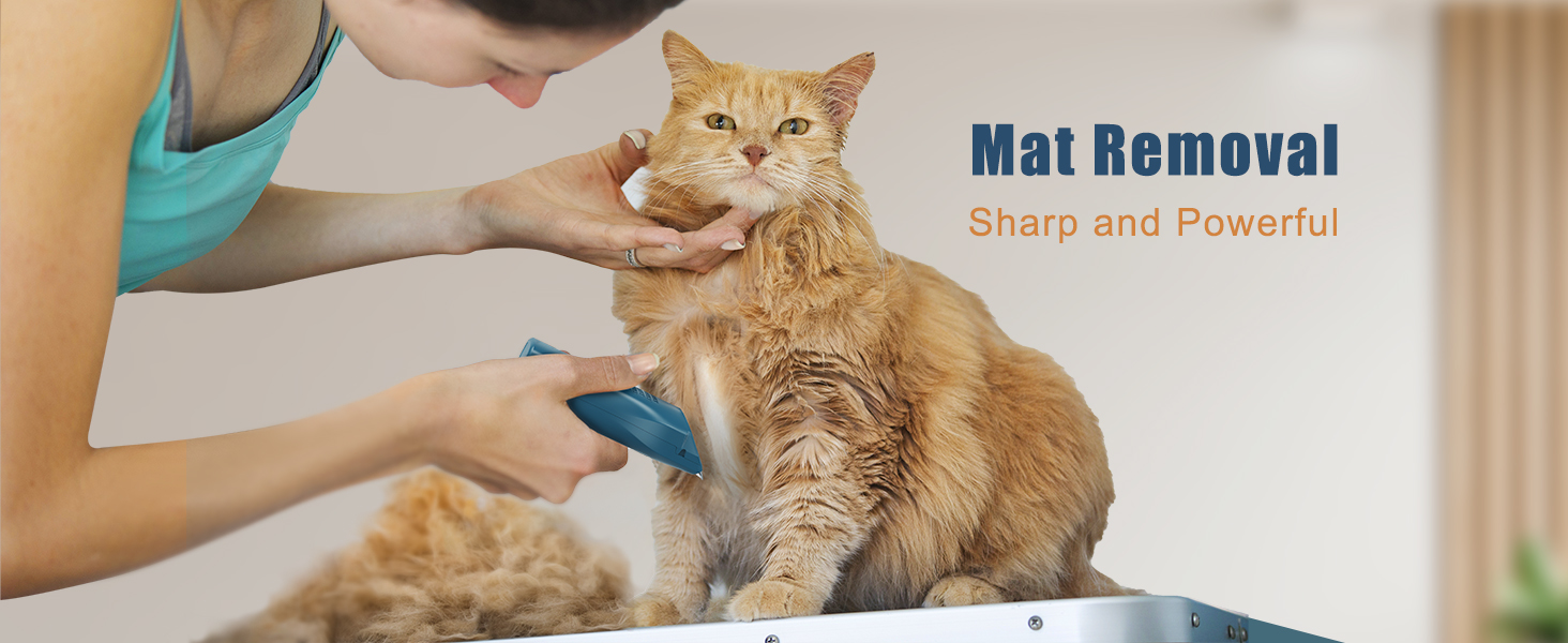 Cat clippers