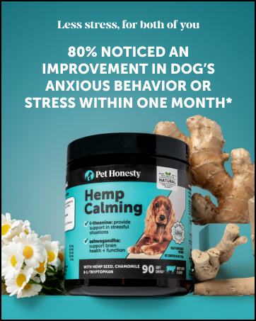 calming chews for dogs