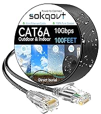 cat6a ethernet cable 100ft