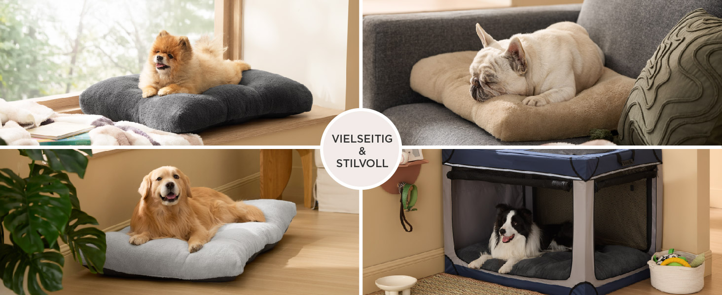 dog bed