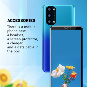 There is a mobile phone case, a headset, a screen protector, a charger, and a data cable in the box