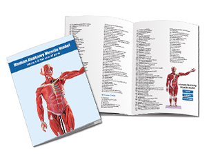 Small manufacture image 4