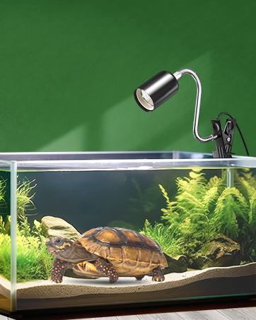 Aquarium-Setup mit einer verstellbaren silbernen Spotlampe zum Aufstecken, die ein Aquarium mit Wasserpflanzen und einer auf einer Plattform ruhenden Schildkröte beleuchtet.