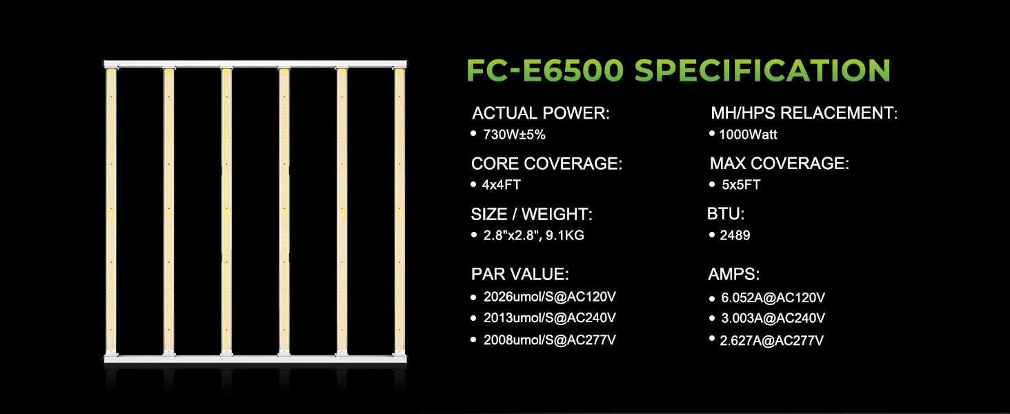 FC-E6500 A+6