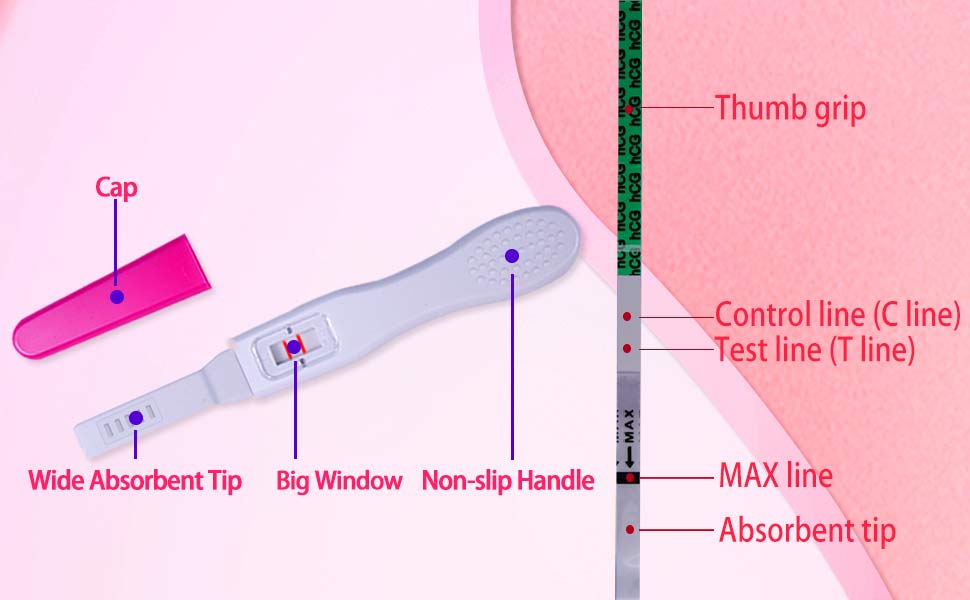 pregnancy strips hcg level test strips pregnacy test
