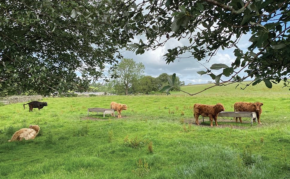 Large manufacture image 2