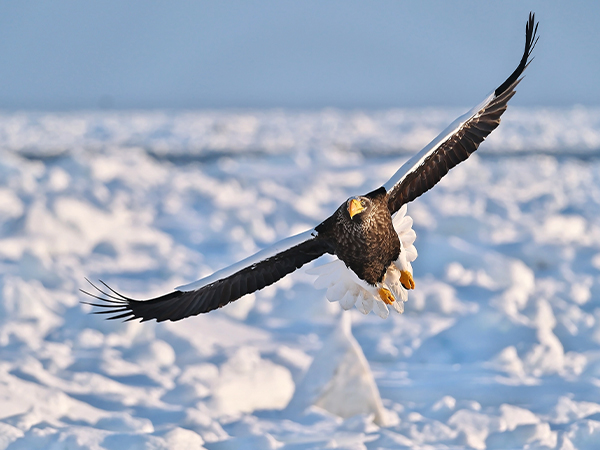 XF150-600mm