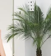 F97d8221 Ad8a 41e1 8cfe 0d0dd2d064c9. AC SR166,182