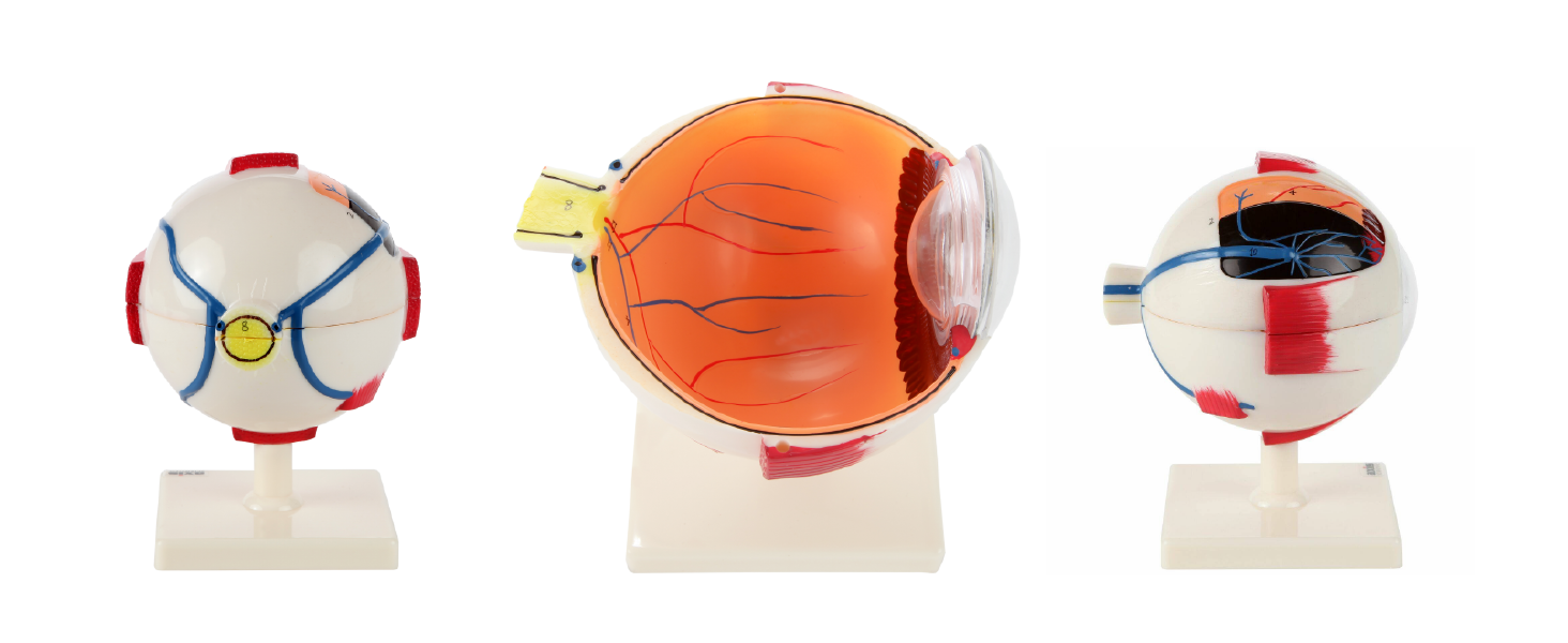 Large manufacture image 4