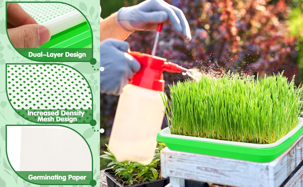 sprouts growing kit