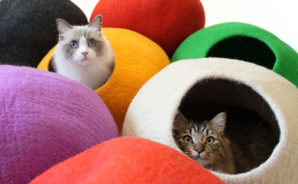 キャットドーム Amazon | 【COTCAT (コットキャット) 】CAT DOME/猫 ドーム