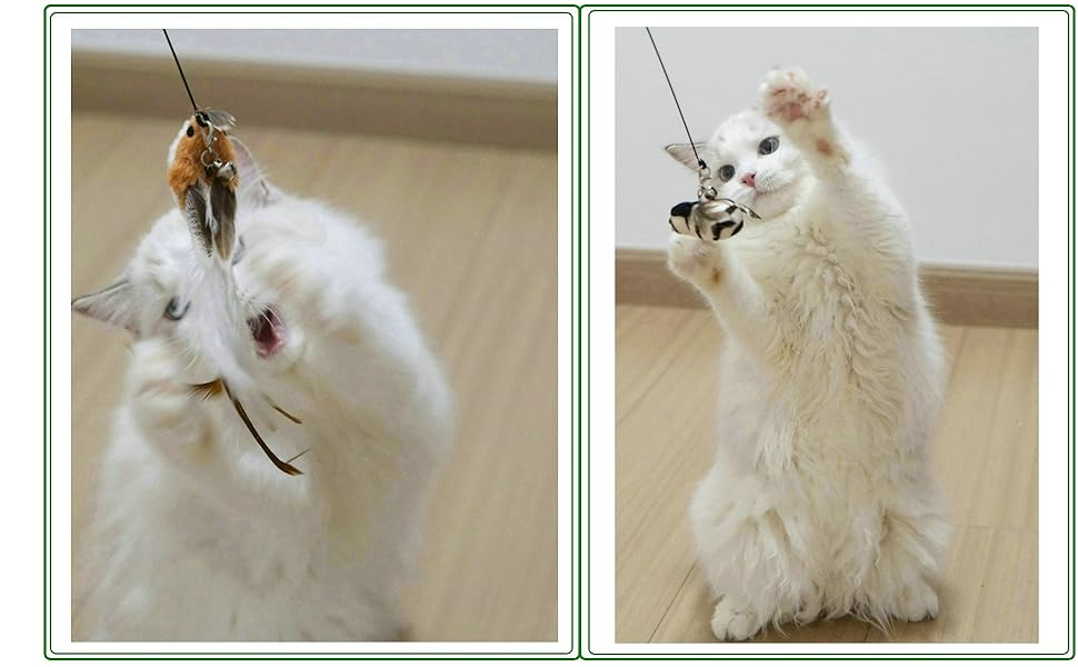 猫ジャラシフェザー