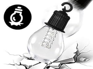 garden festoon lights