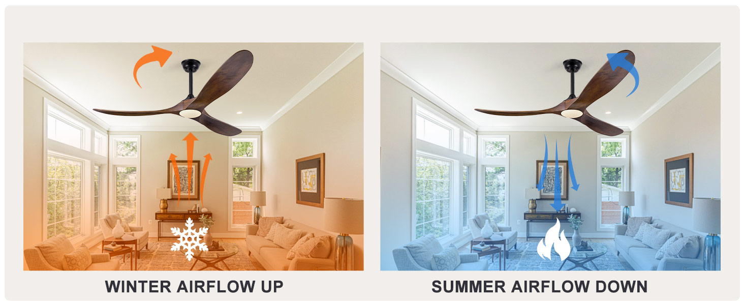ceiling fan with light