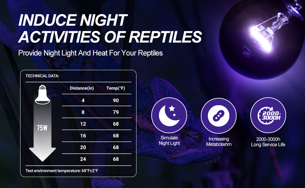 reptile heat lamp bulb