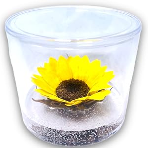 piantine finte decorative con vasetto rosa stabilizzata vera in vetro fiori stabilizzati rose finte