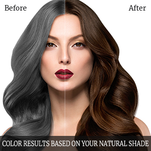 black hair dye shampoo