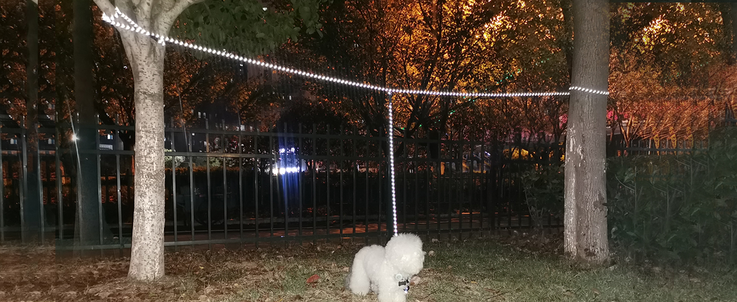 reflective dog leash