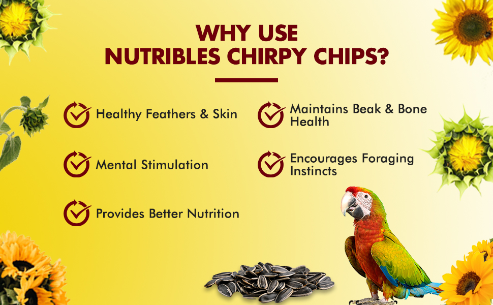 PETOSKA Bird Food Sunflower Seeds