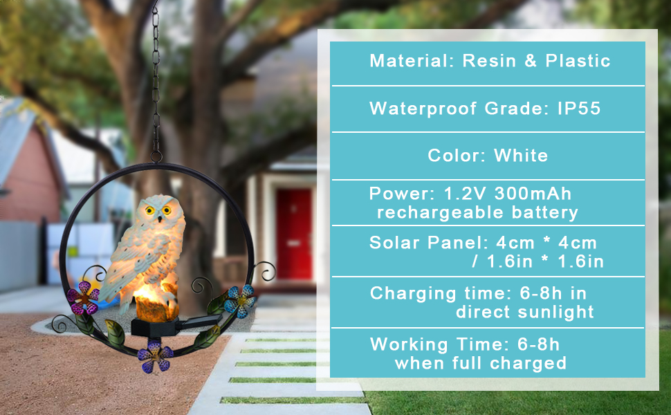 outdoor owl