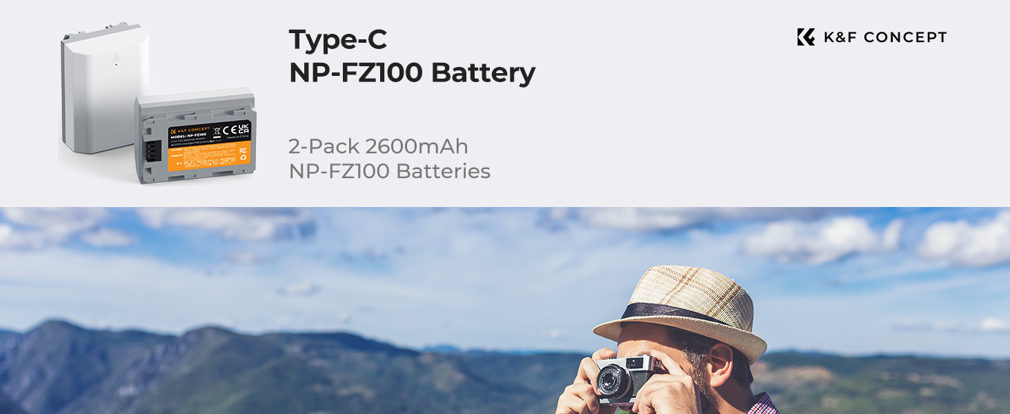 NP-fz100 type C battery