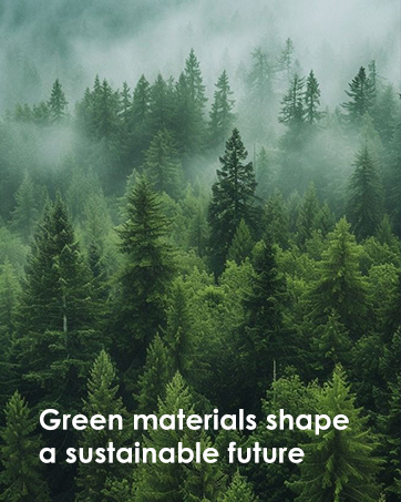 Electric Toothbrush Portable Sonic with Protective Case 