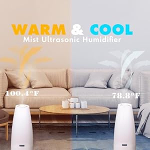 warm and cool  mist humidifiers