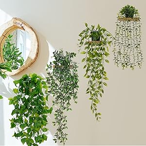 hanging plants